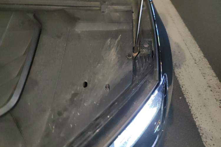 Used BYD Seal 2022 550 km Standard Range Rear-Wheel Drive Elite Version Engine Bay Left
