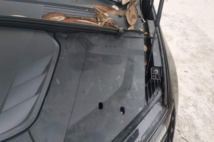 Used BYD Seal 2022 550 km Standard Range Rear-Wheel Drive Elite Version Engine Bay Left