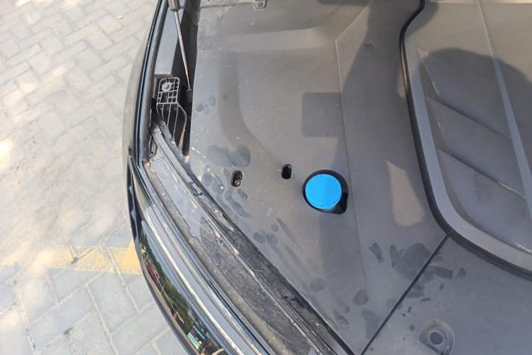 Used BYD Seal 2022 550 km Standard Range Rear-Wheel Drive Prestige Version Engine Bay Right