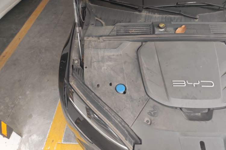 Used BYD Seal 2022 550 km Standard Range Rear-Wheel Drive Prestige Version Engine Bay Right