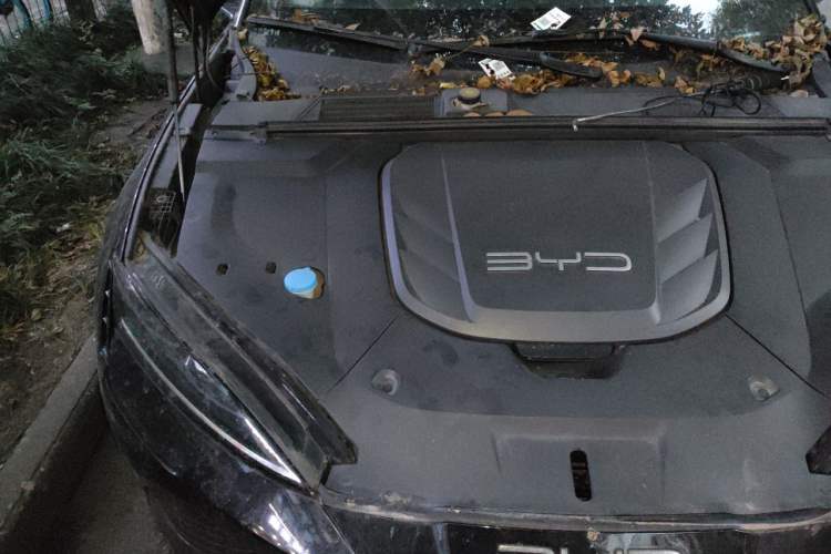 Used BYD Seal 2022 550 km Standard Range Rear-Wheel Drive Prestige Version Engine Bay Right