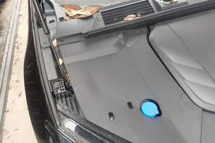 Used BYD Seal 2022 550 km Standard Range Rear-Wheel Drive Elite Version Engine Bay Right