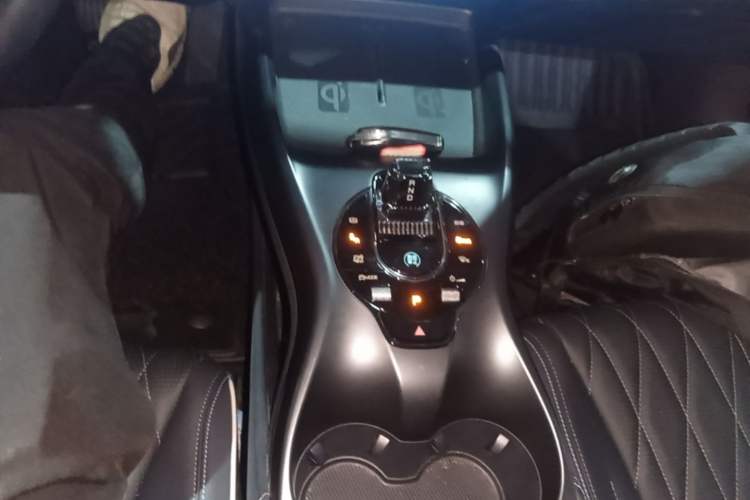 Used BYD Seal 2022 550 km Standard Range Rear-Wheel Drive Elite Version Gear Lever