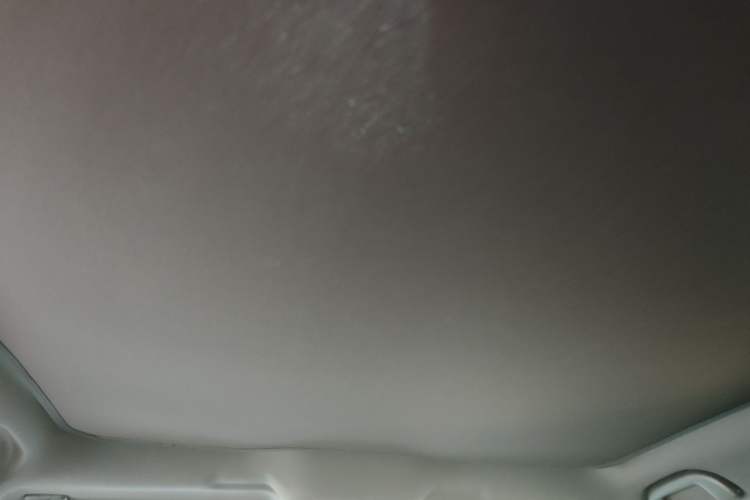 Used BYD Seal 2022 550 km Standard Range Rear-Wheel Drive Prestige Version Headliner
