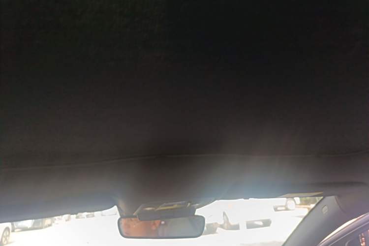 Used BYD Seal 2022 550 km Standard Range Rear-Wheel Drive Prestige Version Headliner