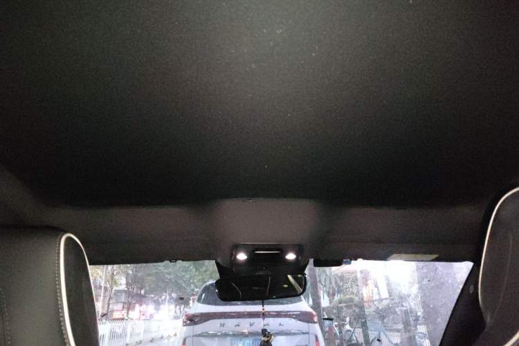 Used BYD Seal 2022 550 km Standard Range Rear-Wheel Drive Prestige Version Headliner