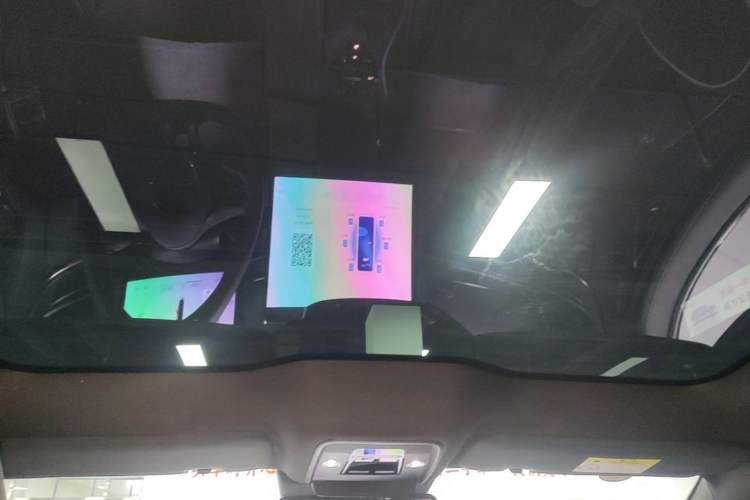 Used BYD Seal 2022 550 km Standard Range Rear-Wheel Drive Prestige Version Headliner