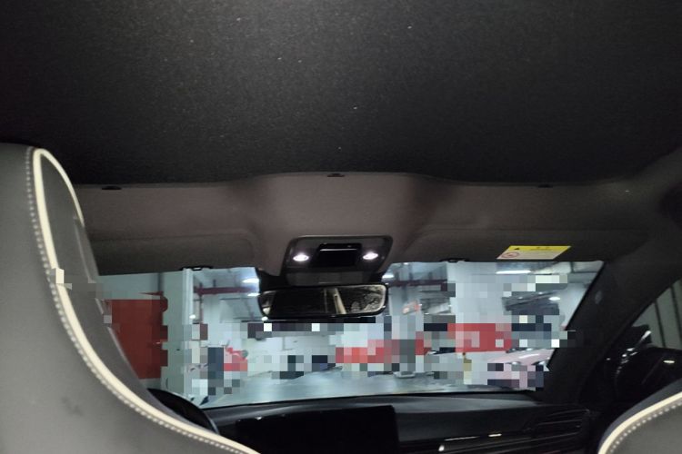 Used BYD Seal 2022 550 km Standard Range Rear-Wheel Drive Prestige Version Headliner