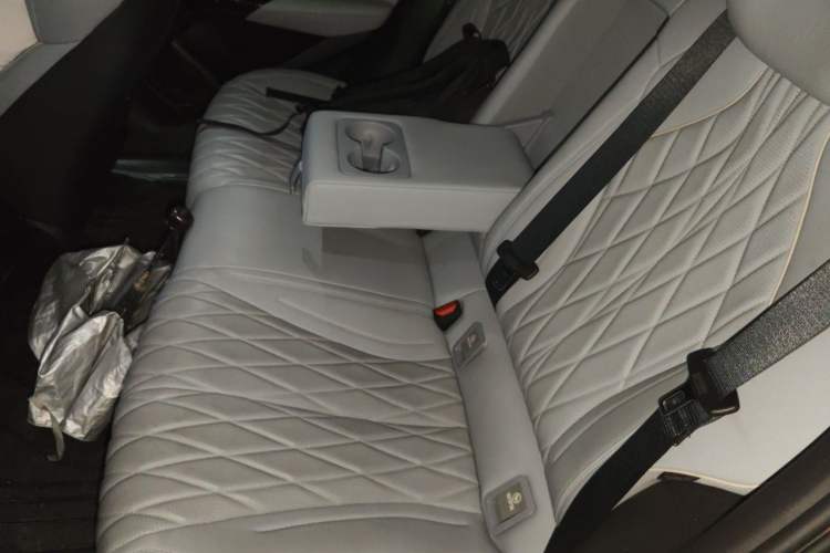 Used BYD Seal 2022 550 km Standard Range Rear-Wheel Drive Prestige Version Left Rear Seat