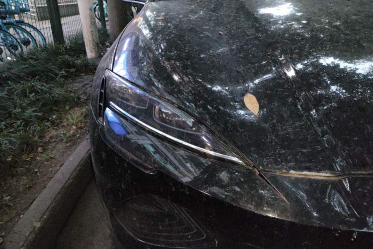Used BYD Seal 2022 550 km Standard Range Rear-Wheel Drive Prestige Version Right Front Headlight