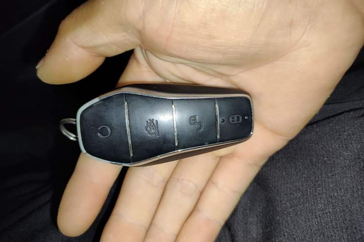 Used BYD Seal 2022 550 km Standard Range Rear-Wheel Drive Prestige Version Vehicle Key