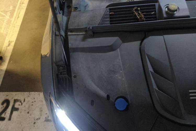 Used BYD Seal 2022 700 km Long-Range Rear-Wheel-Drive Version Engine Bay Right