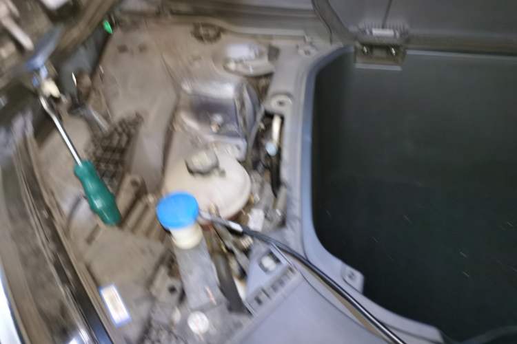 Used BYD Seal 2022 550 km Standard Range Rear-Wheel Drive Elite Version Engine Bay Right