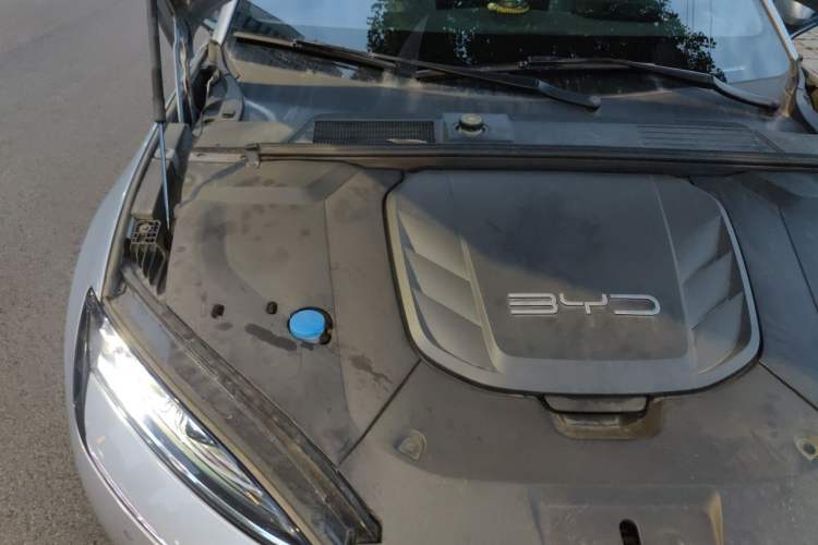 Used BYD Seal 2022 550 km Standard Range Rear-Wheel Drive Elite Version Engine Bay Right