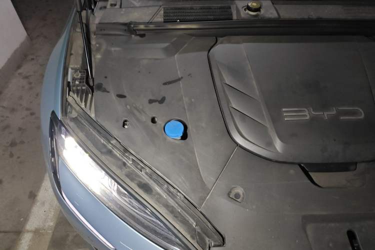 Used BYD Seal 2022 550 km Standard Range Rear-Wheel Drive Prestige Version Engine Bay Right