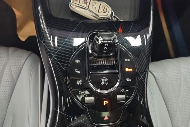 Used BYD Seal 2022 700 km Long-Range Rear-Wheel-Drive Version Gear Lever