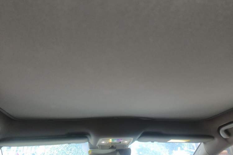 Used BYD Seal 2022 650 km All-Wheel-Drive Performance Version Headliner