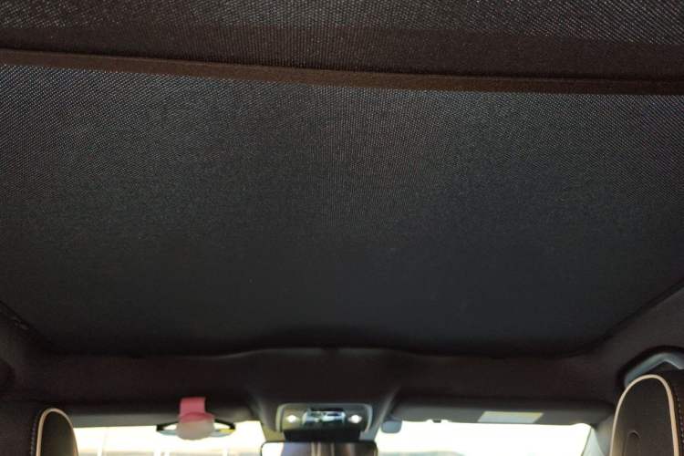 Used BYD Seal 2022 700 km Long-Range Rear-Wheel-Drive Version Headliner