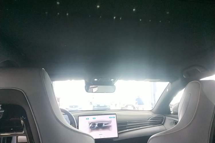 Used BYD Seal 2022 550 km Standard Range Rear-Wheel Drive Prestige Version Headliner