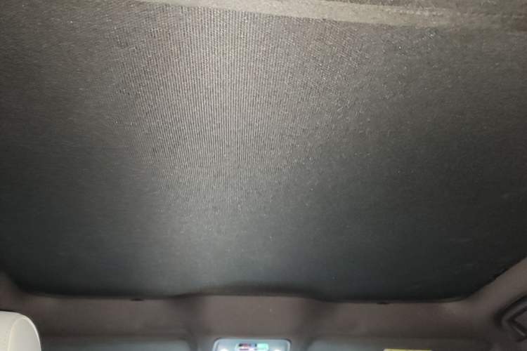 Used BYD Seal 2022 700 km Long-Range Rear-Wheel-Drive Version Headliner