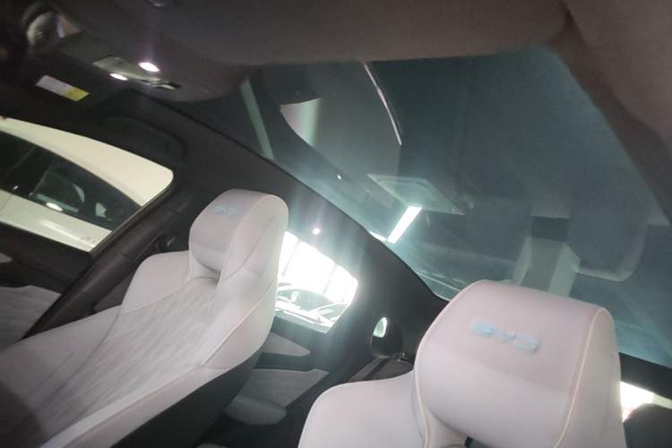 Used BYD Seal 2022 550 km Standard Range Rear-Wheel Drive Elite Version Headliner
