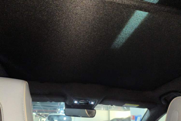 Used BYD Seal 2022 650 km All-Wheel-Drive Performance Version Headliner