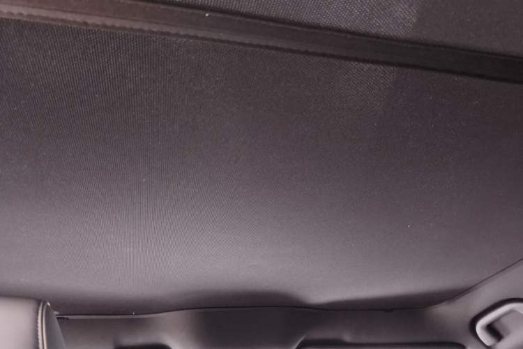 Used BYD Seal 2022 700 km Long-Range Rear-Wheel-Drive Version Headliner