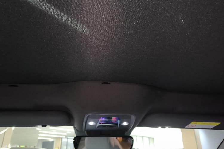 Used BYD Seal 2022 650 km All-Wheel-Drive Performance Version Headliner