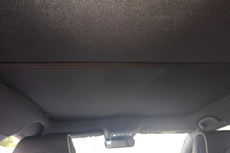 Used BYD Seal 2022 550 km Standard Range Rear-Wheel Drive Prestige Version Headliner