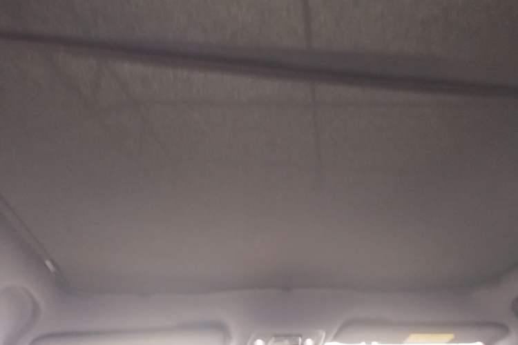 Used BYD Seal 2022 550 km Standard Range Rear-Wheel Drive Prestige Version Headliner