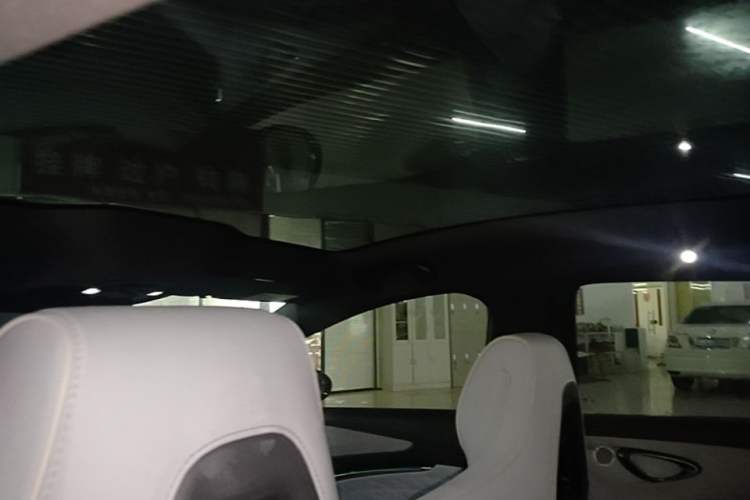 Used BYD Seal 2022 550 km Standard Range Rear-Wheel Drive Prestige Version Headliner