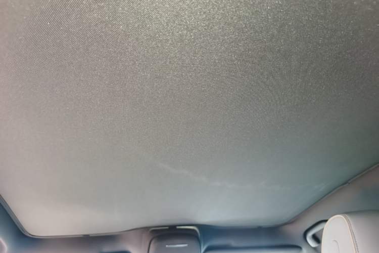 Used BYD Seal 2022 650 km All-Wheel-Drive Performance Version Headliner