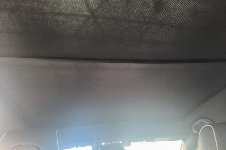 Used BYD Seal 2022 700 km Long-Range Rear-Wheel-Drive Version Headliner