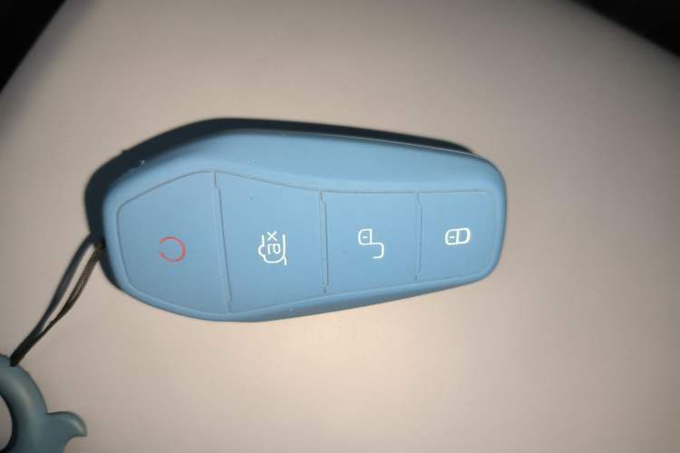 Used BYD Seal 2022 550 km Standard Range Rear-Wheel Drive Prestige Version Interior 1