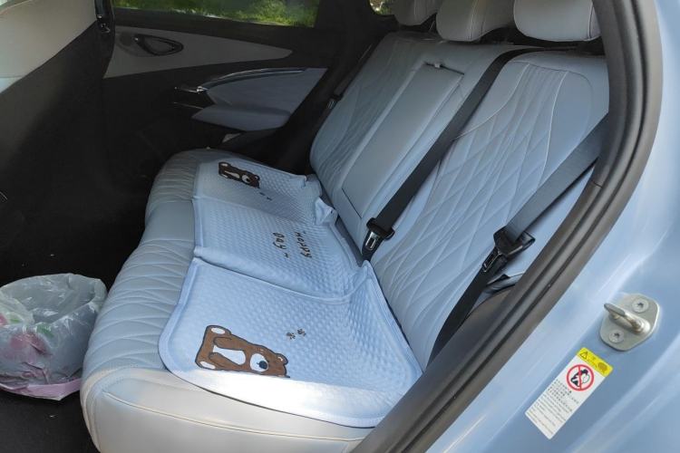 Used BYD Seal 2022 700 km Long-Range Rear-Wheel-Drive Version Left Rear Seat