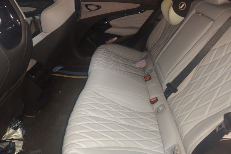 Used BYD Seal 2022 550 km Standard Range Rear-Wheel Drive Elite Version Left Rear Seat