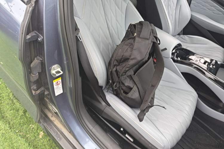 Used BYD Seal 2022 550 km Standard Range Rear-Wheel Drive Elite Version Right Front Seat