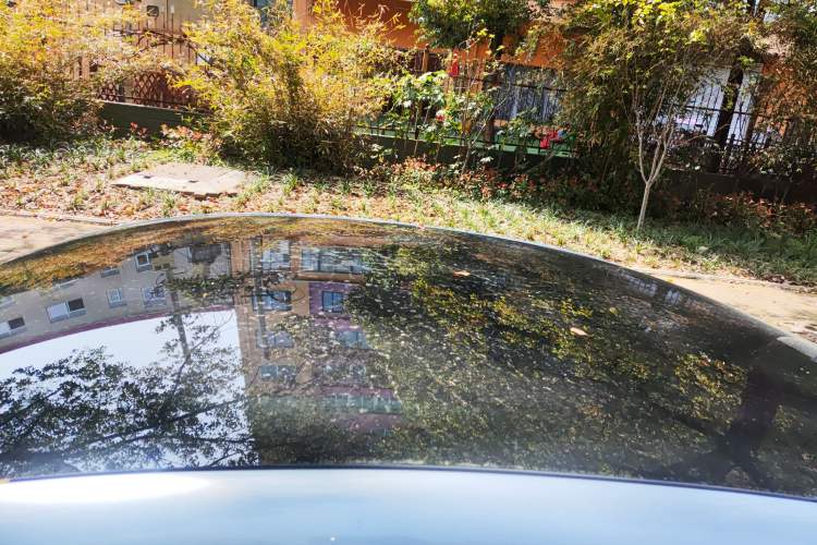 Used BYD Seal 2022 650 km All-Wheel-Drive Performance Version Roof