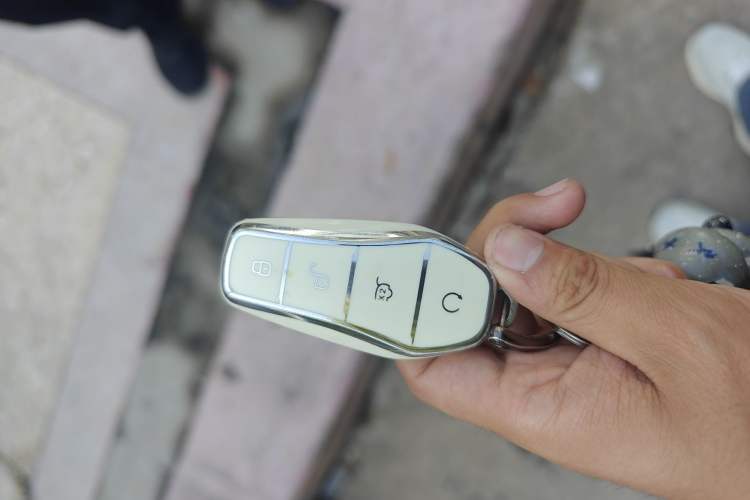 Used BYD Seal 2022 700 km Long-Range Rear-Wheel-Drive Version Vehicle Key