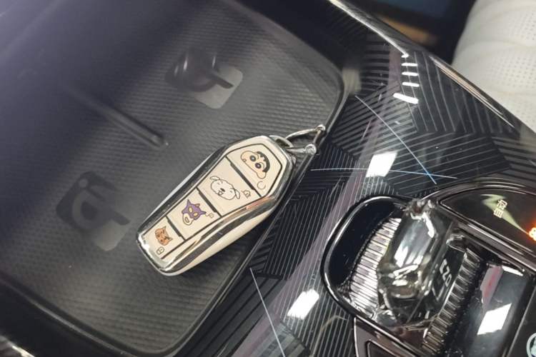 Used BYD Seal 2022 700 km Long-Range Rear-Wheel-Drive Version Vehicle Key
