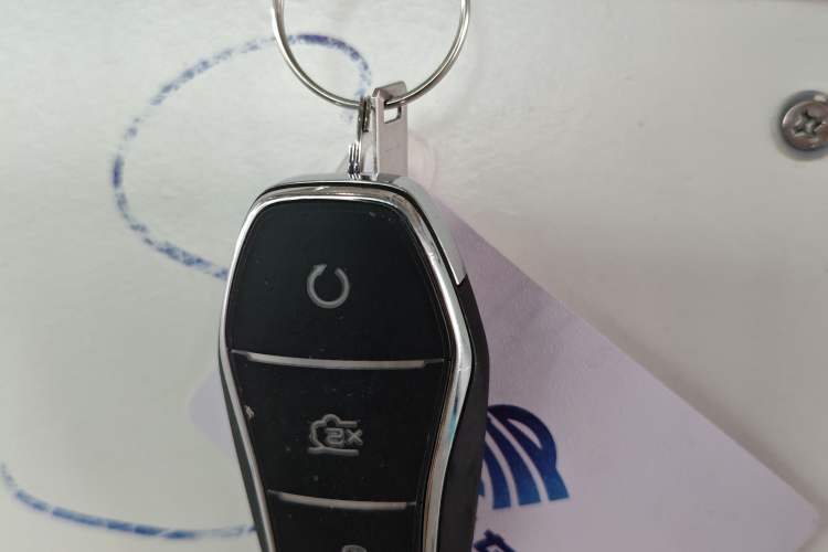 Used BYD Seal 2022 700 km Long-Range Rear-Wheel-Drive Version Vehicle Key