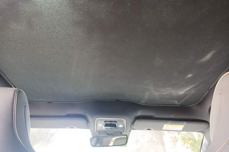 Used BYD Seal 2022 550 km Standard Range Rear-Wheel Drive Prestige Version Headliner