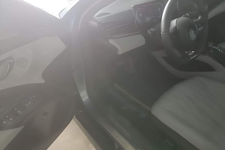 Used BYD Seal 2022 550 km Standard Range Rear-Wheel Drive Prestige Version Driver Seat