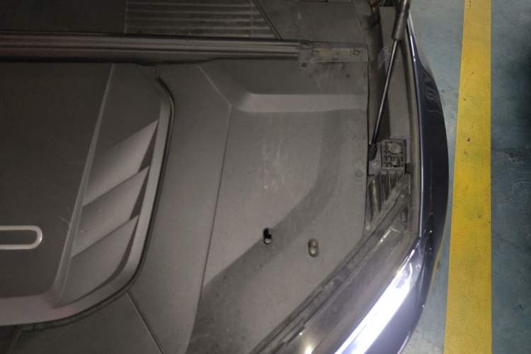 Used BYD Seal 2022 550 km Standard Range Rear-Wheel Drive Prestige Version Engine Bay Left