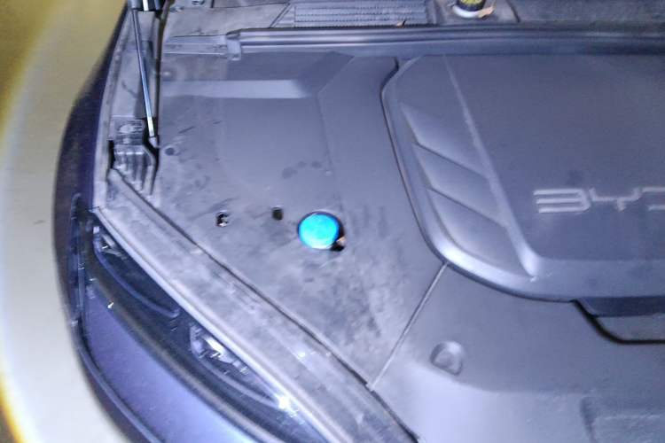 Used BYD Seal 2022 550 km Standard Range Rear-Wheel Drive Prestige Version Engine Bay Right
