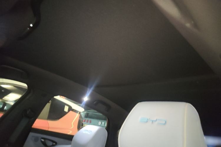 Used BYD Seal 2022 550 km Standard Range Rear-Wheel Drive Prestige Version Headliner