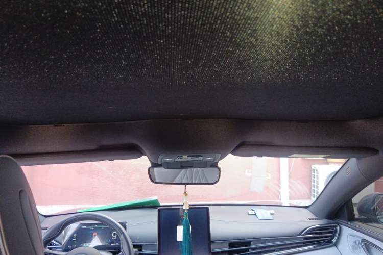 Used BYD Seal 2022 550 km Standard Range Rear-Wheel Drive Prestige Version Headliner