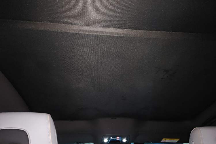 Used BYD Seal 2022 550 km Standard Range Rear-Wheel Drive Prestige Version Headliner