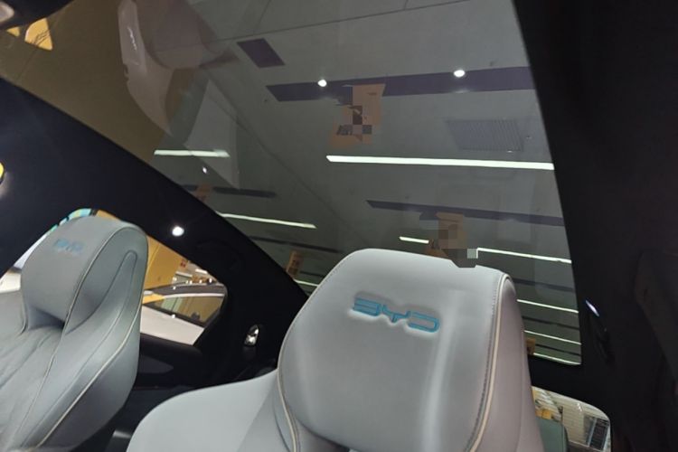 Used BYD Seal 2022 550 km Standard Range Rear-Wheel Drive Prestige Version Headliner