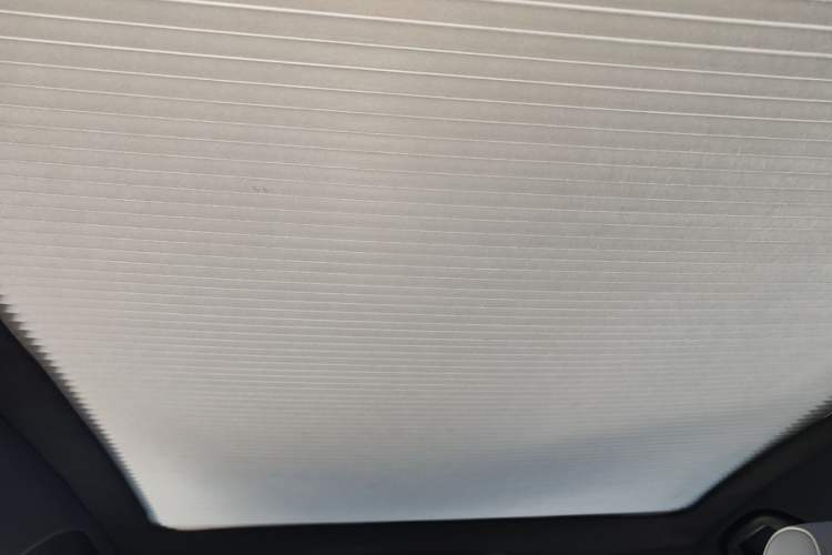Used BYD Seal 2022 550 km Standard Range Rear-Wheel Drive Prestige Version Headliner